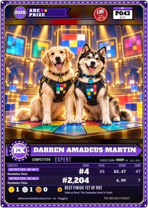 Darren Amadeus Martin, kaggle expert card P043