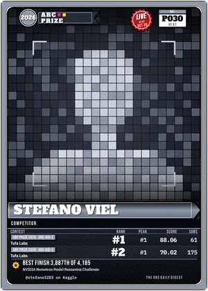 Stefano Viel, kaggle competitor card P030