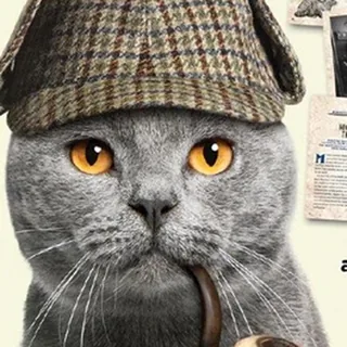 Peter Findley’s Kaggle profile picture